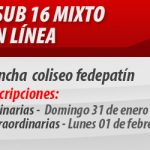 torneo-nacional-hockey-en-linea-sub-16-mixto