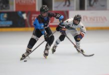 FIN DE SEMANA DECISIVO PARA EL HOCKEY EN LÍNEA