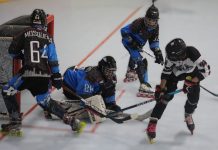 HOCKEY EN LÍNEA CONOCERÁ LOS CAMPEONES DEL SEGUNDO SEMESTRE