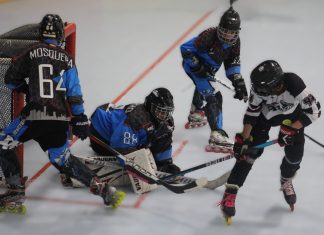 HOCKEY EN LÍNEA CONOCERÁ LOS CAMPEONES DEL SEGUNDO SEMESTRE