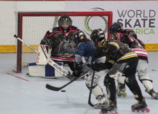 SE DEFINEN LAS FINALES DEL HOCKEY LÍNEA