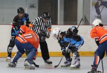 INICIA 2° SEMESTRE DE COPA NACIONAL Y COPA FUTURAS ESTRELLAS DE HOCKEY EN LÍNEA