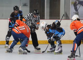 INICIA 2° SEMESTRE DE COPA NACIONAL Y COPA FUTURAS ESTRELLAS DE HOCKEY EN LÍNEA